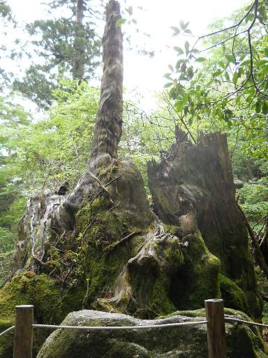 ���v���N���[�Y78