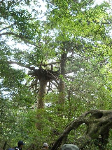 ���v���N���[�Y79