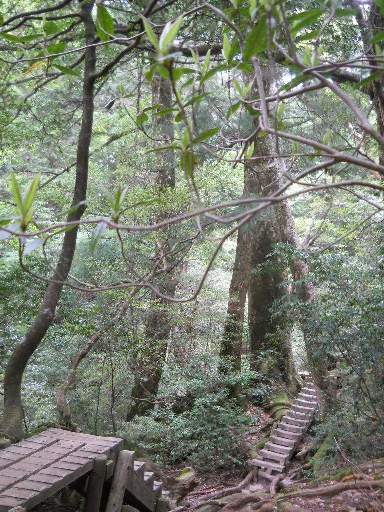 ���v���N���[�Y80