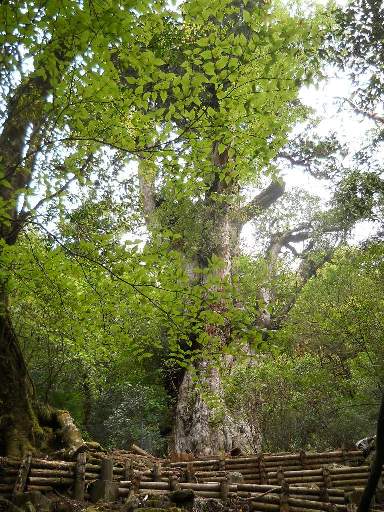 ���v���N���[�Y82