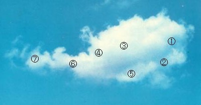 �I�[�X�g���A�̂������������_