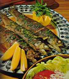 �t�H�����E�u���[