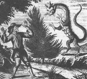 �P�����e���n���̃l�R��h���S��