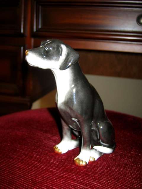 �w�����h: ���̃t�B�M���A