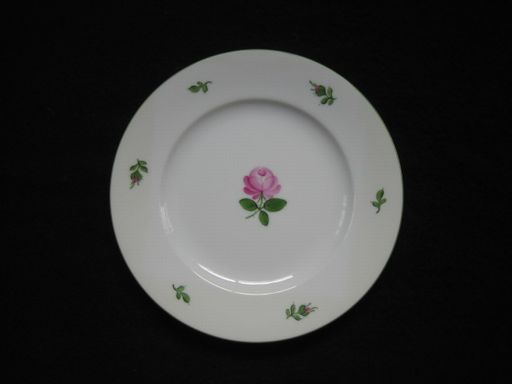 �A�E�K���e��: �E�B�[�����K�N1