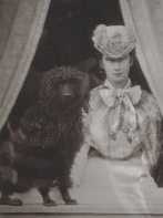 �V�V�[�ƌ�3