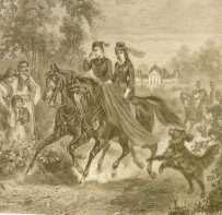 �V�V�[�ƌ�5