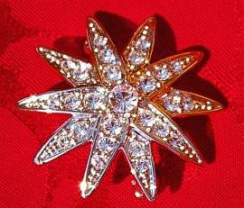 �X���@���t�X�L�[�́u�V�V�[�̐��v